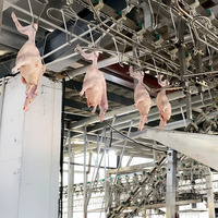 Équipement Professionnel et Moderne de l'Abattoir Automatique de Volaille Maisheng pour Poulets
