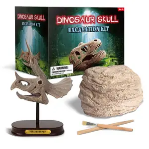 Dinosaurier Aushub D7068 Dinosaurier Schädel Ausgrabungs kit, 4 verschiedene Dinosaurier Fossilien Bildung Spielzeug für Kinder