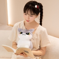 Peluche personnalisée OEM ODM, hamster de dessin animé en peluche, créez votre propre design, certifiée CE CPC EN71, en polyester doux, anti-stress