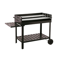 Barbecues au charbon de bois Pinnovo, barbecue d'extérieur avec table latérale, barbecue fumoir avec grande surface de cuisson pour la cuisine en plein air