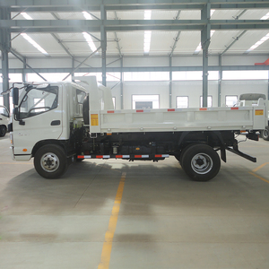 Offerta Speciale: Camion Leggero Foton Aumark E 4x2 5 Tonnellate con Pianale, Motore Diesel Euro 2, Mini Camion Aumark S - Product Image 3