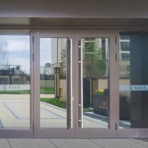 公寓楼最新轻型豪华德国风格钢入口门