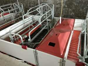 Nueva condición Hierro Acero Galvanizado Cerdo Jaula de maternidad Cerda Jaulas de parto 1,8x2,4 m Ventilación de presión positiva Automática - Product Image 5