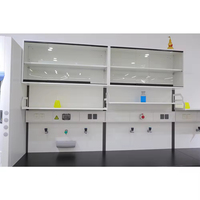 Banc de laboratoire mural sur pied avec évier et armoire suspendue, structure en acier, conception multifonctionnelle pour usage scolaire - Vente chaude