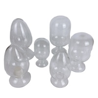 Bouteilles à graines en verre borosilicate Tianlian 125ml/250ml/500ml, forme conique, flacon de laboratoire pour spécimens, personnalisable OEM