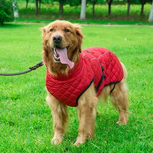 Jaqueta de inverno para animais de estimação, vestuário grande e design de cães