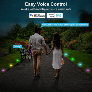 15 แพ็คสมาร์ท Tuya App ควบคุม RGBICW เพลงซิงค์ไฟทางเดิน,ไฟพื้น,ไฟสนามหญ้ากลางแจ้งสําหรับสวน,ลาน,ลาน,ตกแต่ง - Product Image 2