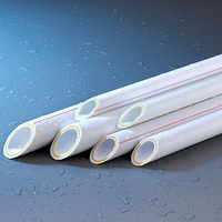 Raccords PPR de l'usine chinoise Deso, tailles DN 20mm, 25mm, 32mm, technique de moulage, accessoires de connexion pour tubes PPR