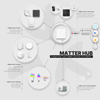 Passerelle Tuya Matter pour maison intelligente, Hub Ethernet filaire Zigbee 3.0 pour Apple HomeKit et SmartThings