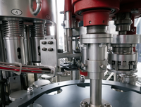 Usine de remplissage et de bouchage automatique clé en main 3-en-1 pour jus de fruits concentrés et boissons en PET pour petites entreprises