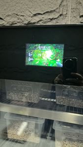 NE-525 Fog Free Glass <b>Door</b> Chamber Efficient Design Optimal Egg Hatching 338L <b>Snake</b> reptile incubator - Product Image 5