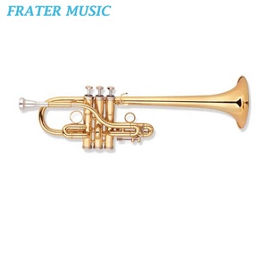 Tromba di Alta Qualità in Tonalità Eb/D con Finitura in Lacca Dorata / Placcatura Argento (JTR-510) - Product Image 1