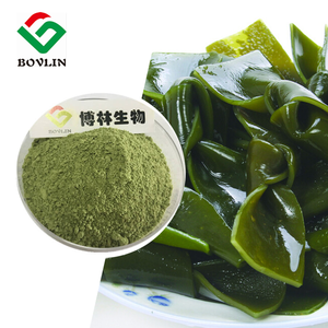 مسحوق مستخلص الطحالب البحرية العضوية بالجملة، مسحوق طحالب بحرية طبيعي عالي الجودة - Product Image 3