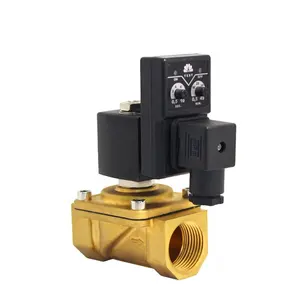 1 12 NPT 10 Bar 12 V Adjustable Gas Solenoid Valves Digit Timer Timed Solenoid Valve Plunger Assemble