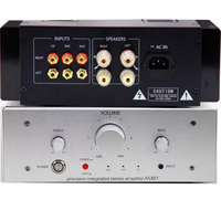 Amplificateur de puissance HiFi haut de gamme AM81, tube scellé à l'or, haute puissance, classe A, classe A et B, Bluetooth, fibre optique, décodage coaxial