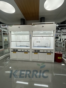 Équipement de laboratoire <span class=keywords><strong>Dersion</strong></span> Capot à fumée PP Capot à fumée résistant aux acides pour laboratoires chimiques - Product Image 2