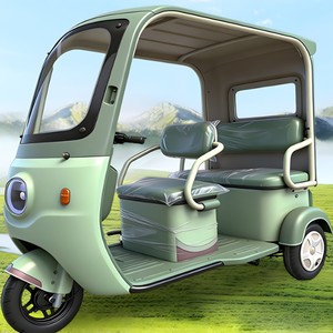 Triciclo Familiar de Tres Ruedas con Opciones de Color Personalizables y Techo, Capacidad para Pasajeros, Capacidad para Acomodar Cómodamente hasta 2 Pasajeros - Product Image 2