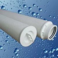 Boîtier de cartouches filtrantes plissées en PP à grand débit pour séparateur d'eau, pour machines de filtration efficaces