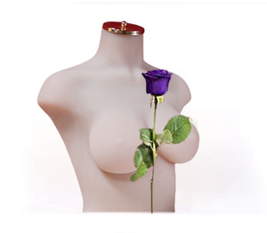 Maniquí <span class=keywords><strong>de</strong></span> plástico para la parte superior del cuerpo femenino con pecho grande para sujetador <span class=keywords><strong>de</strong></span> lencería femenina que muestra maniquí <span class=keywords><strong>de</strong></span> medio cuerpo femenino <span class=keywords><strong>de</strong></span> silicona - Product Image 6