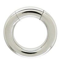 Anneau segmenté en acier inoxydable pour piercing corporel, cadeau pour enfant, piercing génital masculin, anneau Prince Albert, poids d'expansion, plugs d'oreille