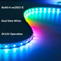 Tira de LED RGB WS2815 12V IP67 Impermeable para Jardín, SMD5050 60 LEDs, Regulable, Wi-Fi, Alto CRI80 2700K AIPIN, 2 Años de Garantía