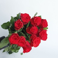 Wettbewerbs fähiger Preis Long Stem Natural Bulk Frisch geschnittene Blumen Rote Rosen Für Hochzeit Valentinstag Blumen arrangement Dekoration