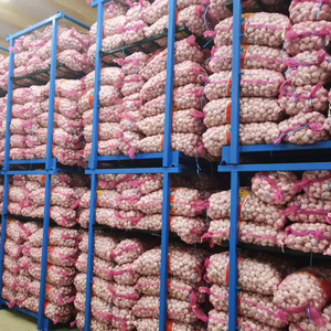 Exportadores de ajo blanco fresco Ajo Alho con bolsa de malla embalaje para alimentos nuevo cultivo de ajo al por mayor - Product Image 1