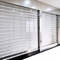 Porte à enroulement à lames transparentes sur mesure en polycarbonate pour centre commercial