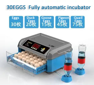 Incubadora de huevos <span class=keywords><strong>abejarucos</strong></span> de cola azul con fuente de alimentación de respaldo para ventas al por mayor - Product Image 5