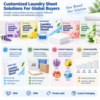 Feuilles de lessive concentrées portables en gros pour marque privée OEM, idéales pour la maison, les voyages et l'usage quotidien