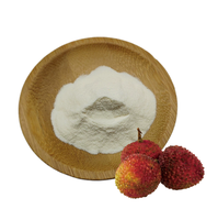 Gespraydroogd puur lychee fruitpoeder, natuurlijk, hoge oplosbaarheid, bulk, voedingskwaliteit, grondstof