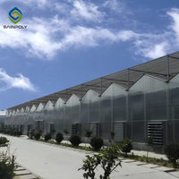 Serre en polycarbonate Venlo, serres hydroponiques pour l'agriculture