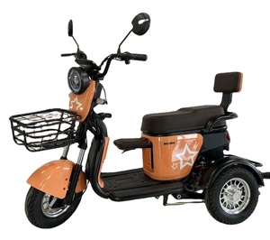 Y3-QQ Tricycle pas cher 3 roues Scooter électrique motos <span class=keywords><strong>Sidecar</strong></span> adulte motorisé Tricycles électriques pour adultes - Product Image 1