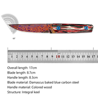 Couteau à lame fixe en acier de Damas avec manche en bois coloré, couteau droit d'extérieur avec étui en cuir pour collection et camping