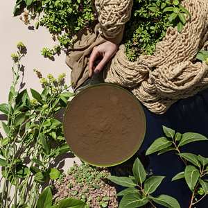 <span class=keywords><strong>Baume</strong></span> Poudre Soluble Dans L'eau Vitamine Riche (Myrtille) Séché Par Pulvérisation - Product Image 5
