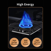 Kompor Dapur Terintegrasi 3-in-1 Listrik & Gas Stainless Steel Pintar dengan Oven (termasuk Steam), Grill, dan Fitur Pembersihan Otomatis
