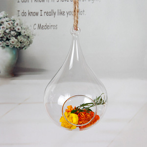 Customized hanging clear glass jar globe vase hydroponic plant terrarium