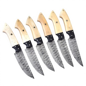Juego de 6 cuchillos de caza de acero de Damasco de grado industrial con mango de hueso, hoja biselada de punta caída, OEM/ODM, cuchillería de cocina, caja de regalo - Product Image 1