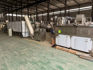 Venta caliente Panko Breadcrumbs Extrusor Fabricación Maquinaria - Product Image 6