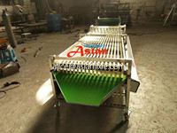 Sorteermachine voor slakken van landbouwgebruik / Sorteermachine voor eetbare slakken op basis van maat