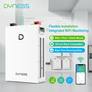 Batería Dyness DL5.0F 5kWh 51.2V 100Ah LiFePO4, 8000 ciclos, sistema de almacenamiento de energía doméstico inteligente con BMS, para energía solar - Product Image 3