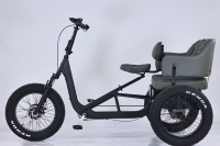 Venta de Fábrica en China: Triciclo Eléctrico para Adultos DAURADA ET-C01, Triciclo de Carga con Batería de Litio, Capacidad de Carga de 200 kg, Aleación de Aluminio
