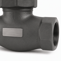 Vanne à soupape en acier forgé 2 pouces NPT A105 300 PSI avec volant fileté pour pipeline de vapeur