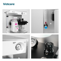 Appareil d'anesthésie vétérinaire compatible avec l'IRM GAVET-100/200 - Certifié CE pour une utilisation sécurisée en salle d'IRM
