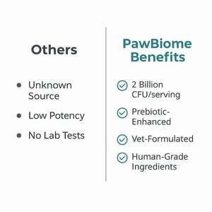 Los masticables probióticos para mascotas OEM para perros y gatos apoyan la flora intestinal mejoran la digestión y fortalecen la inmunidad - Product Image 5