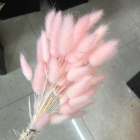 Konserviertes Lagurus Ovatus Hasenschwanzgras 50-60cm 10 Stück Natürlicher Getrockneter Blumenstrauß für Party Hochzeit Heim-Deko Großhandel