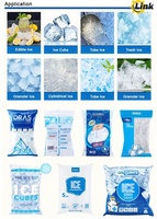 Machine d'emballage automatique de granulés de glace de qualité alimentaire, machine de remplissage et de scellage de sachets, machine d'emballage en papier et en plastique pour les petites entreprises