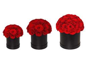 Caja de Rosas Eternas Love Joy, Flor Decorativa Inmortal, Exquisito Regalo para Año Nuevo, San Valentín, Regalos Románticos - Product Image 2