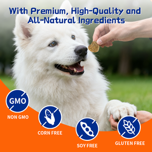 Suplemento multivitamínico <span class=keywords><strong>para</strong></span> masticar <span class=keywords><strong>para</strong></span> <span class=keywords><strong>perros</strong></span> Fórmula 12 en 1 <span class=keywords><strong>de</strong></span> grado humano que apoya el crecimiento <span class=keywords><strong>de</strong></span> cachorros hasta la salud <span class=keywords><strong>de</strong></span> personas mayores Formulado por veterinario - Product Image 4