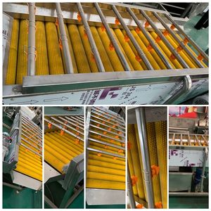 Máquina de lavado de frutas y verduras de alta capacidad, eficiente y duradera, en venta. - Product Image 5